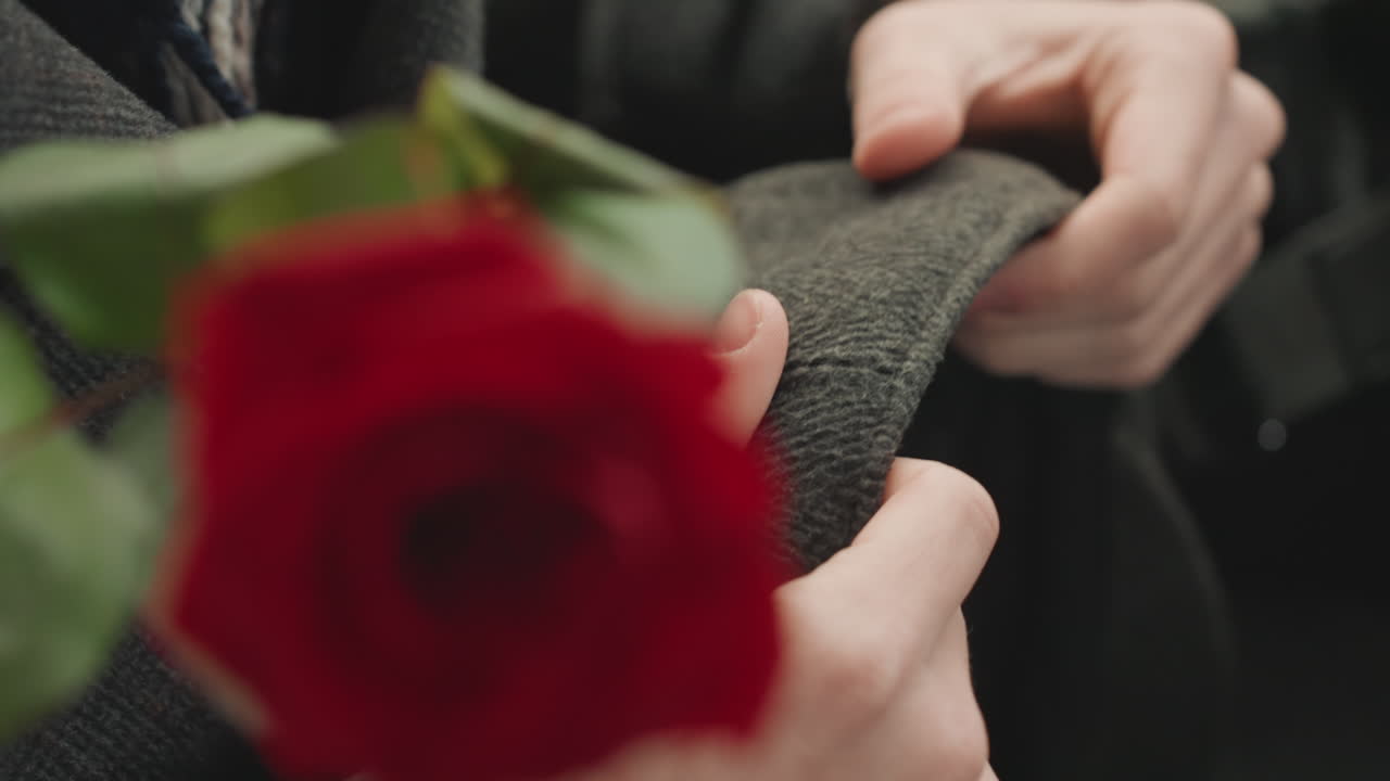 Červená růže a ruce nabízející šátek, detail gesta květináře, jemné okvětní lístky a zelené listy, pomalá intimní výměna, tlumené pozadí kabátu, měkké mělké zaostření a něžná nálada.