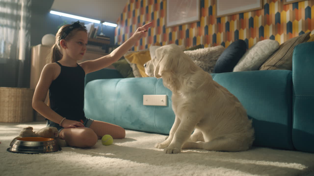 소녀 와 강아지 가 편안 한 거실 에서 놀고 있다