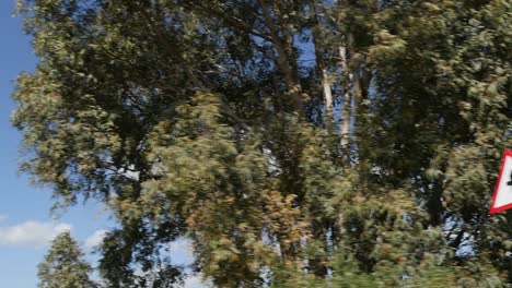 view of driving by with trees, sky and electrical towers