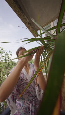 woman cleaning a plant on a balcony