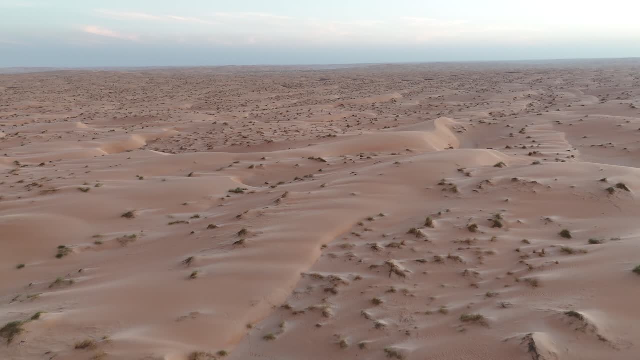 Aerial drone view of sandy desert with sparse vegetation in Mauritania, Sahara wilderness landscape showing dunes, arid terrain and survival of nature