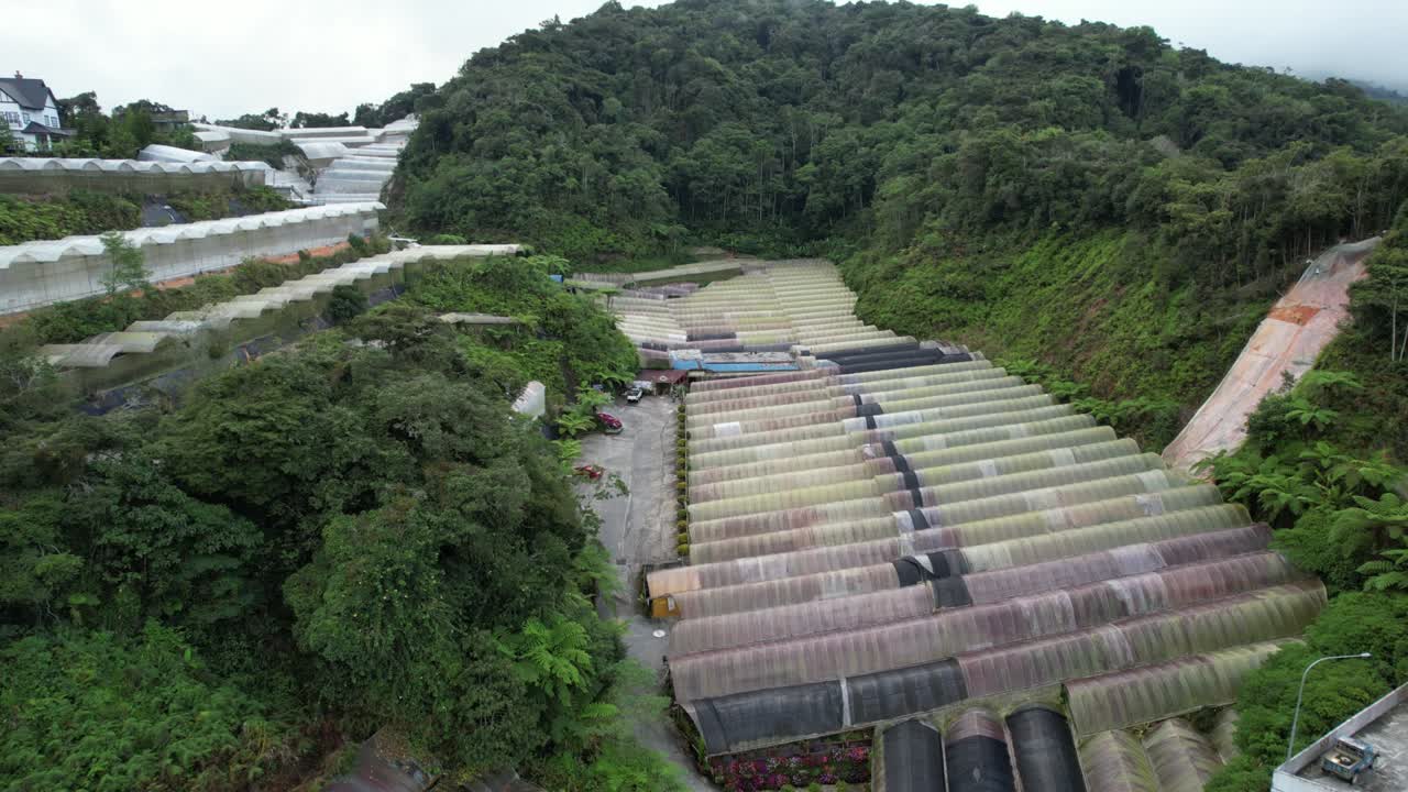 말레이시아의 카메론 하이랜드 지역 내의 브린창 지역의 일반 풍경