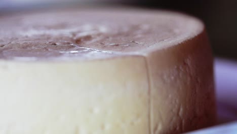 closeup shot of cheese getting sliced with knife