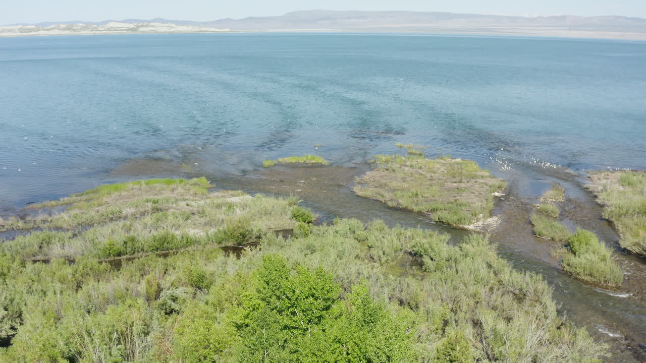 video que muestra los tonos verdes de las aguas del lago mono en california