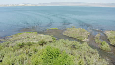 video que muestra los tonos verdes de las aguas del lago mono en california