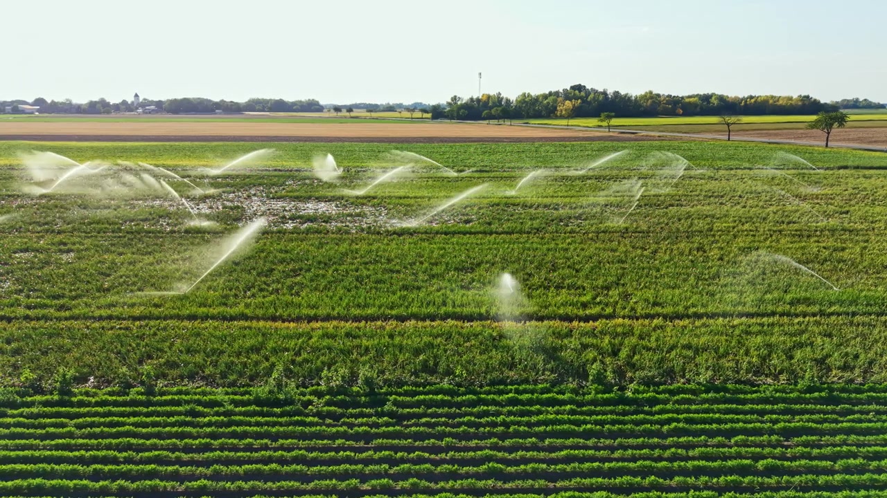 Arrosage des cultures dans un grand champ vert près d'une petite ville par une journée ensoleillée à la campagne