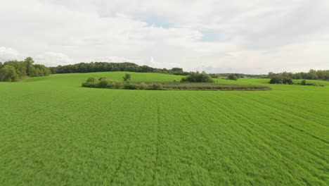 drone flying at speed past lush vegetation, before rising to a higher elevation with a wider scenic view of the green landscape below