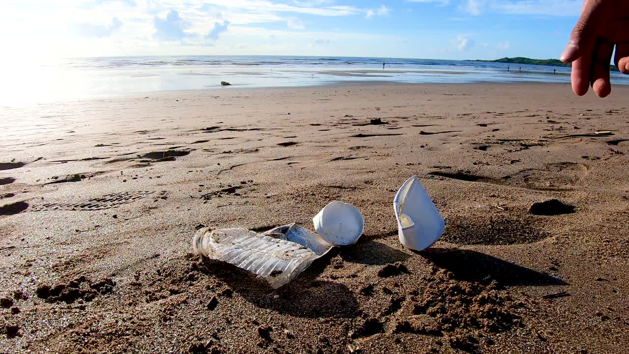 해변에 종이컵을 던지는 인간