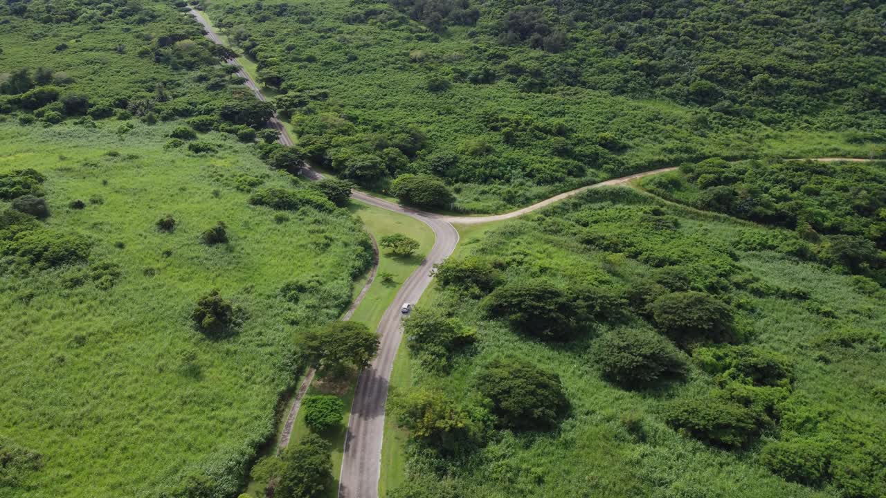 disparo de un avión no tripulado de un coche conduciendo a lo largo de una sinuosa carretera forestal durante una mañana soleada