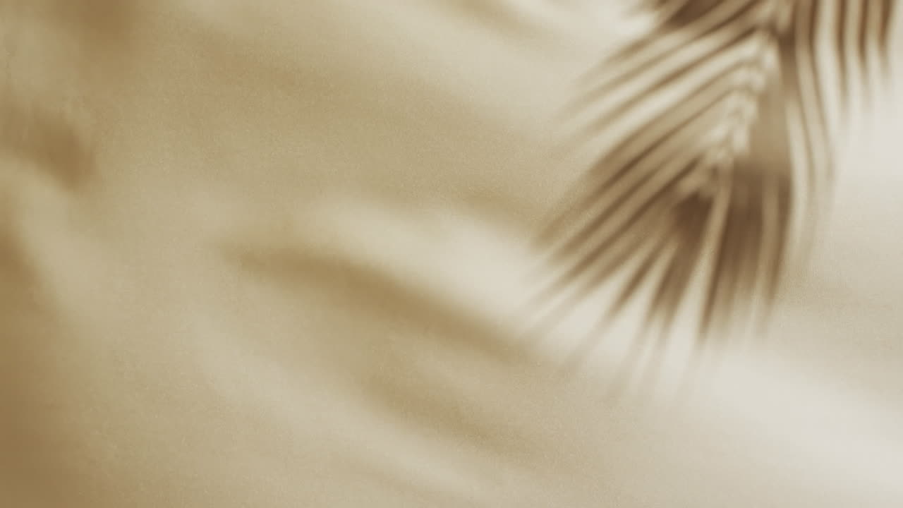 Animation of shadow of palm tree leaf moving with copy space over white fabric background