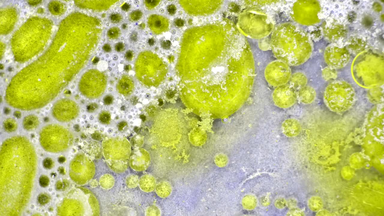 сказочные узоры