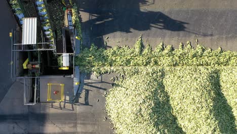 corn processing plant aerial view