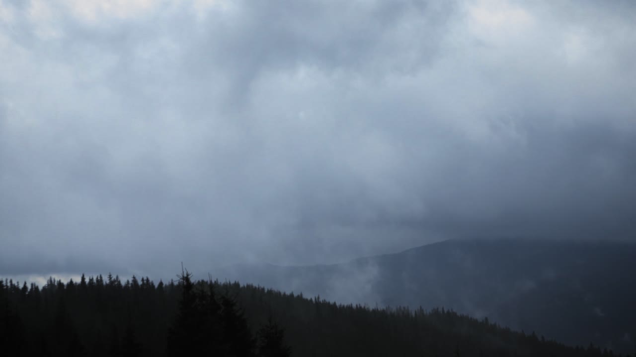 안개가 가득한 산림 풍경