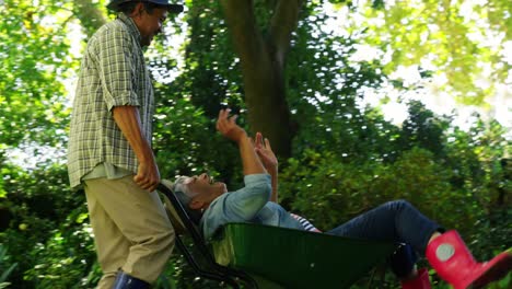 Senior-man-giving-woman-ride-in-wheelbarrow