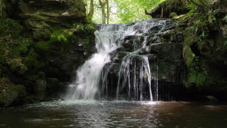 serene waterfall in lush forest