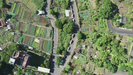 urban farms in taiwan, nestled among roads with scattered vehicles, lush greenery, aerial view