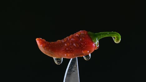 spraying red chili on tip of knife with water