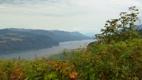 Hd-Kratzen-Sie-Von-Rechts-Nach-Links-Entlang-Herbsthecken,-Um-Das-Aussichtshaus-Auf-Einer-Klippe-In-Der-Ferne-Zu-Enthüllen,-Das-Den-Columbia-River-Mit-Größtenteils-Bewölktem-Himmel-überblickt