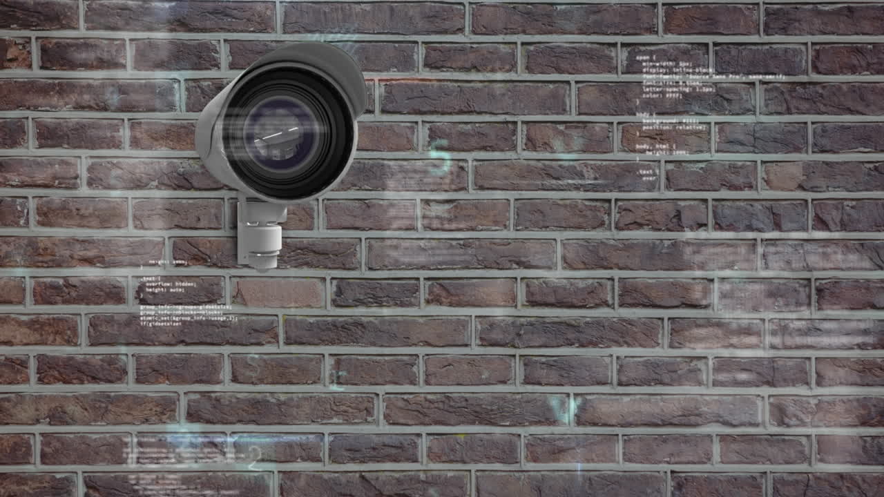 Cámara de vigilancia