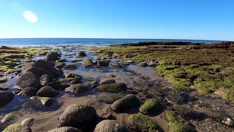 Pan-from-lichen-filled-rock-formation-to-rocks-strewn-in-the-path-of-the-low-tide-water,-Puerto-Peñasco,-Gulf-of-California,-Mexico