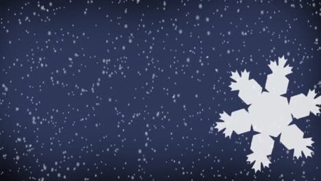 snowflakes field