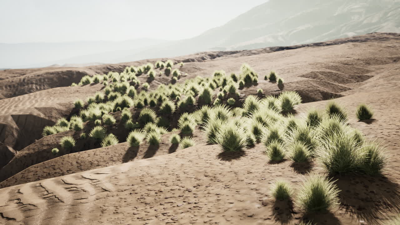 Paisaje del desierto de Gobi en Mongolia