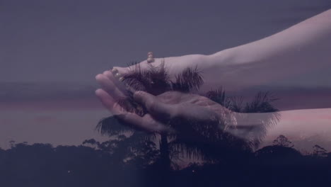 holding soil at dusk, hands silhouetted against palm trees with animation
