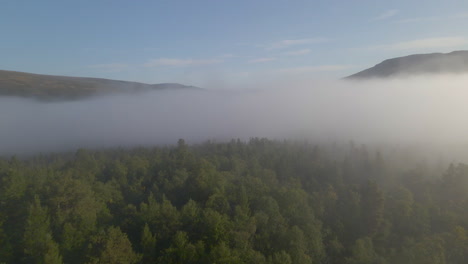 aerial drone shot flying through mist and fog over a forest in the mountains