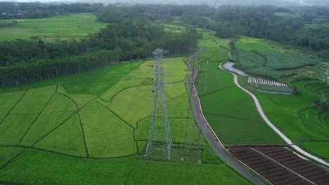 poi drone shot of high-voltage electric tower built in the middle of green rice field