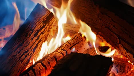 close up of a burning firewood