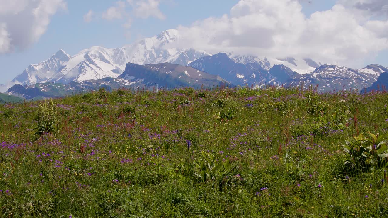 Mountain landscape in summer with Mont Blanc, Auvergne-Rh&ocirc;ne-Alpes region