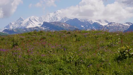 Paisaje-De-Montaña-En-Verano-Con-Mont-Blanc,-Región-De-Auvernia-ródano-alpes