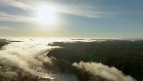 wide aerial view over a river, dense forest, and low lying clouds in the pacific northwest
