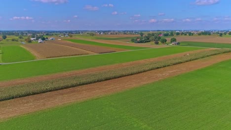 an aerial view of rural america of amish farmlands with amish harvesting the crops on a sunny summer day