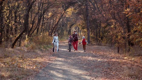 family autumn walk in the woods