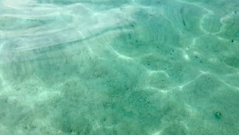 fondo submarino claro y poco profundo con suelo de arena blanca y ondas de luz solar