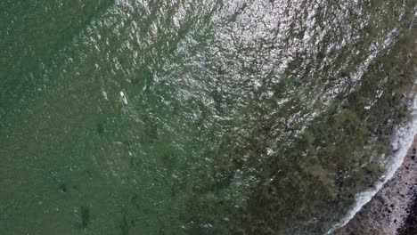 Lone-surfer-paddling-out-to-sea