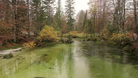 bohinj river running with amazing green colours of the bohinjska sava