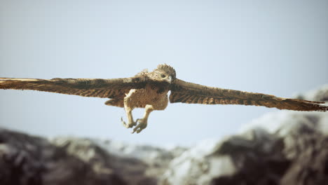 extreme slow motion shot dell'aquila