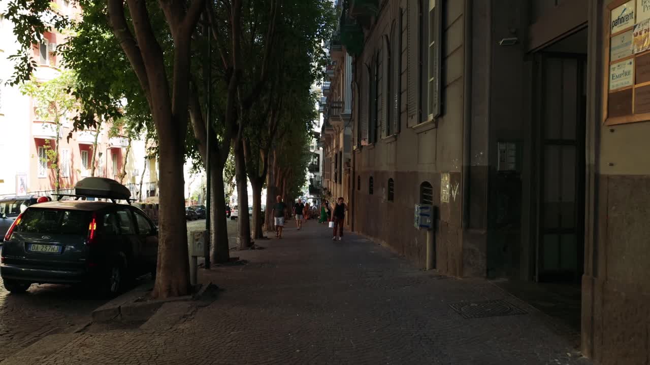 나무로 둘러싸인 거리를 조용히 는 것