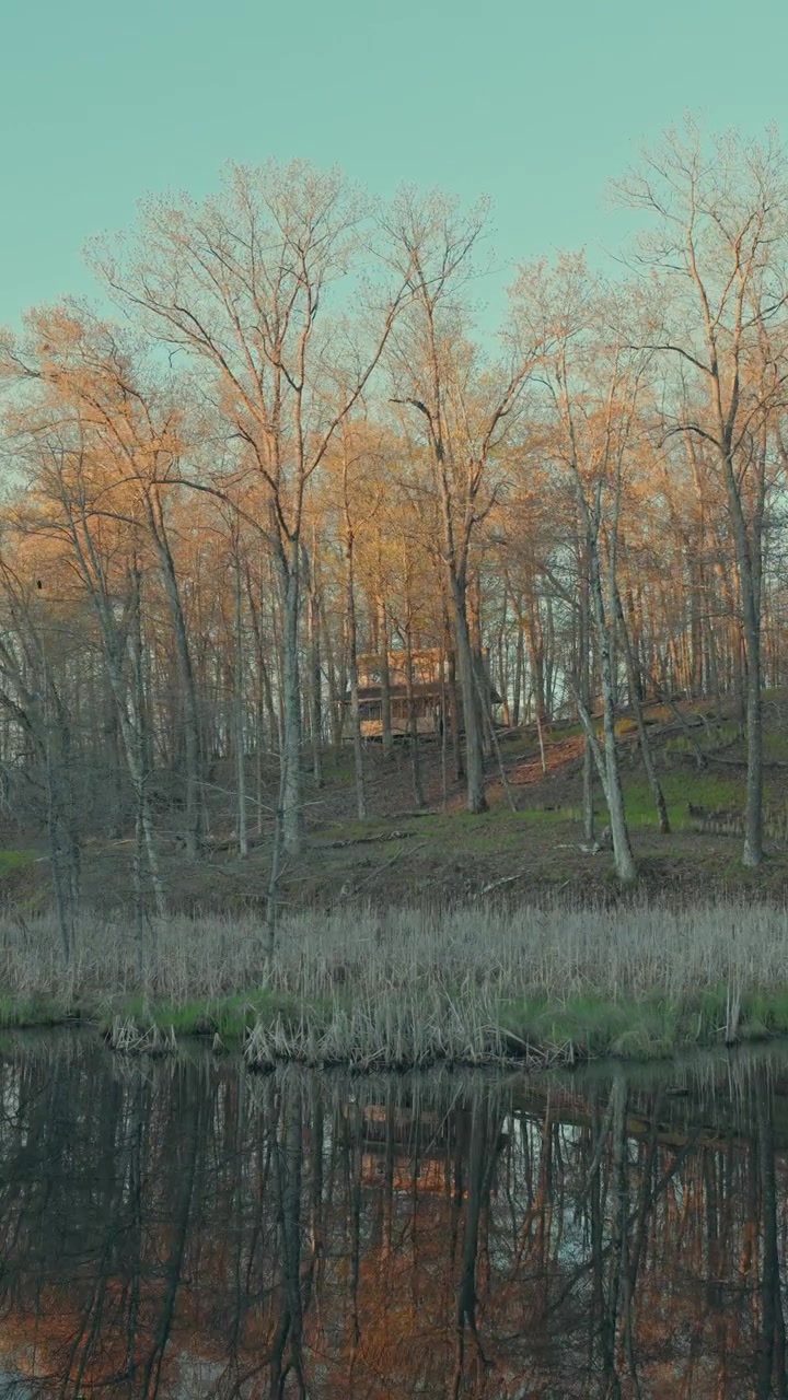 Low aerial glides sideways above still autumn pond reflecting hidden woodland cabin, glowing amber trees and dry reeds in warm sunset light, Wisconsin, USA