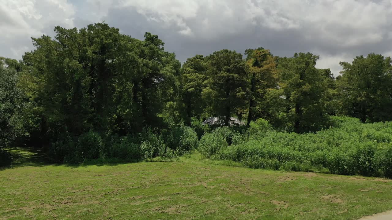 vista aérea del parque de la ciudad y la ciudad de nueva orleans en louisiana