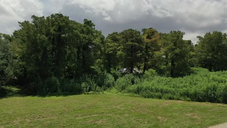 vista aérea del parque de la ciudad y la ciudad de nueva orleans en louisiana