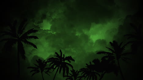 palms trees in jungle in dark night