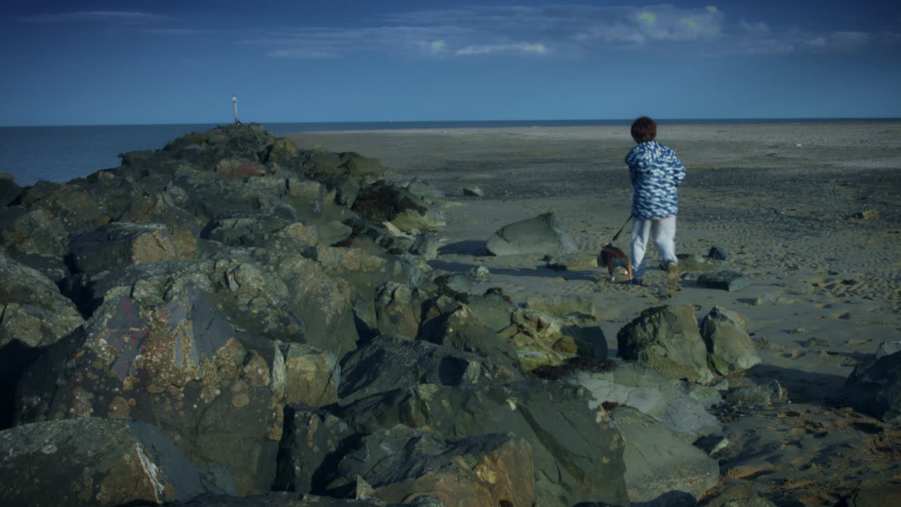 4k 야외 해변 어린이와 개가 해변에서 산책합니다.