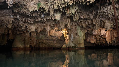 cave ceiling at cenote in the yucatan peninsula of mexico. static shot