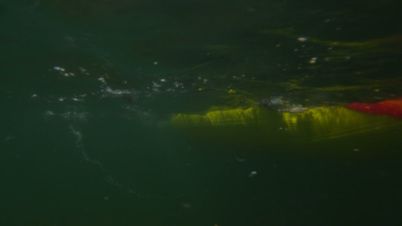 vista submarina de remos tirando a través del agua
