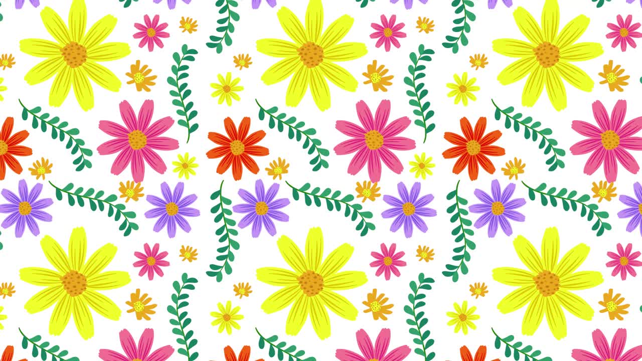 flores coloridas en transición en diversos fondos