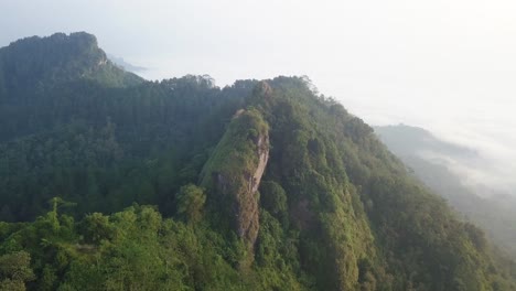 Vista-Aérea-De-Drones-Del-Bosque-Y-La-Cima-De-La-Colina-Menoreh,-Magelang,-Indonesia