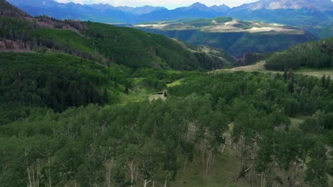 verano uncompahgre bosque aspen árboles grovetelluride colorado avión no tripulado aéreo último dólar carretera aeropuerto estación de esquí cabeza lagarto pico de wilson paisaje vista de san juan montañas rocosas rango hacia adelante pan up